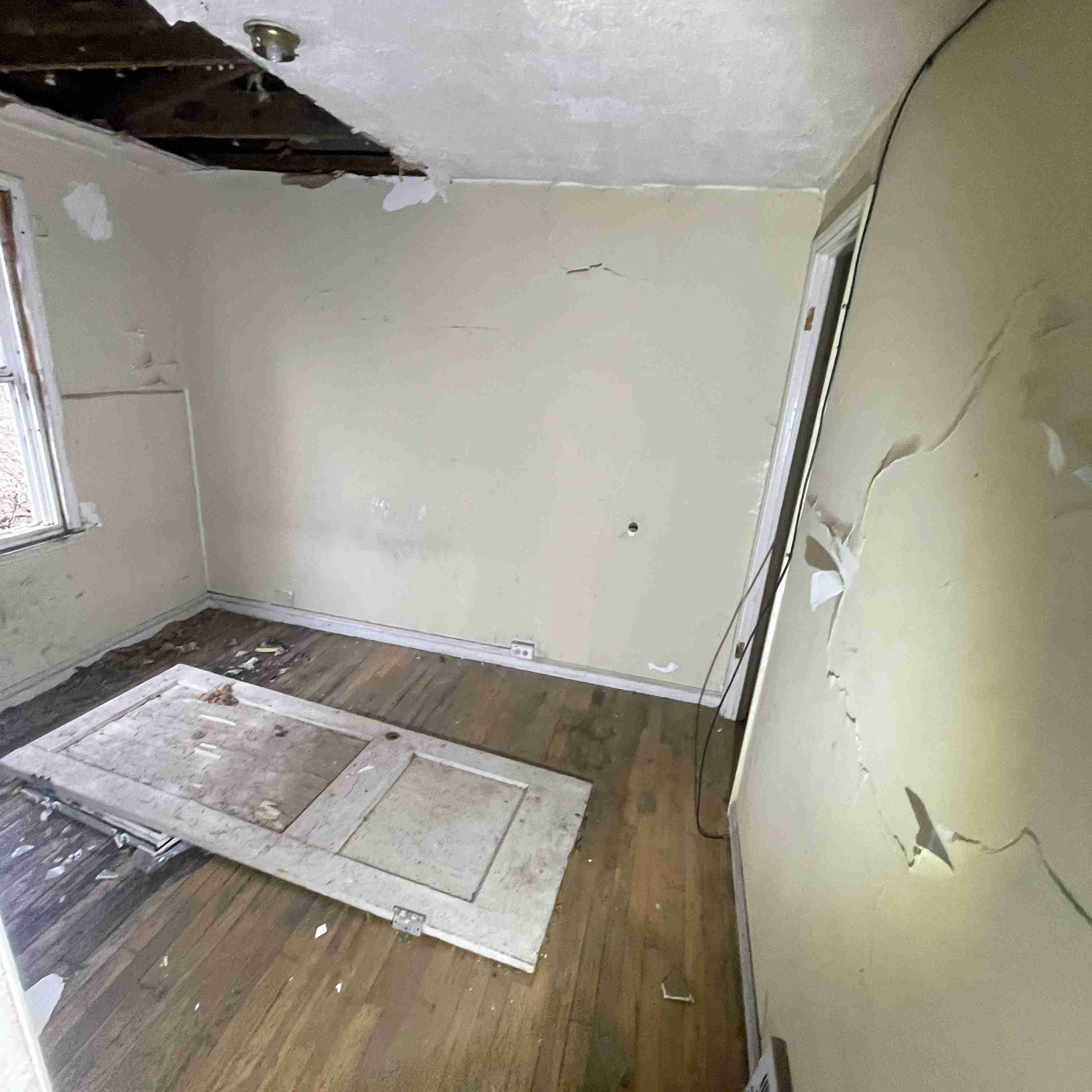 20015 Schoenherr (45).jpg